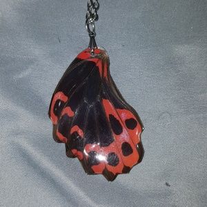 Real butterfly wing specimen necklace